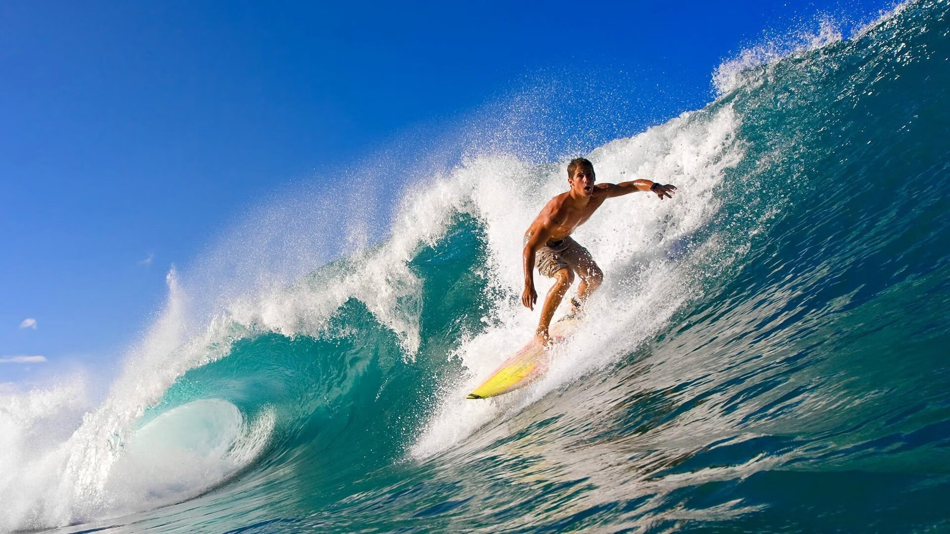 开云体育网页入口-WRC赛段路线揭秘：从山路到海岸线的极限挑战，wrc比赛路面